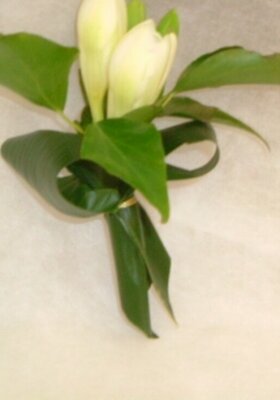 BOUTONNIERE      REF B03