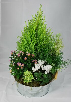 COUPE DE PLANTE ZINC